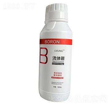 ���w��-�G�I�r�I(y��)