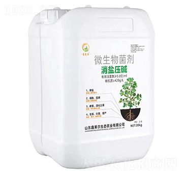 ΢�������-���}���A-���R��