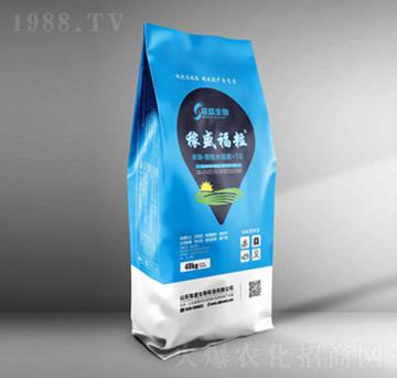 ̼ø�w��ˮ�ܷ�-��ʢ����-��ʢ����