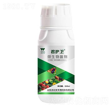 ���o(h��)�l(w��i)΢�������-�֠���(y��u)