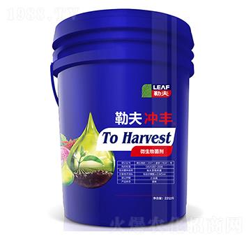 �շ�_�S�{(l��n)Ͱ��-�շ�