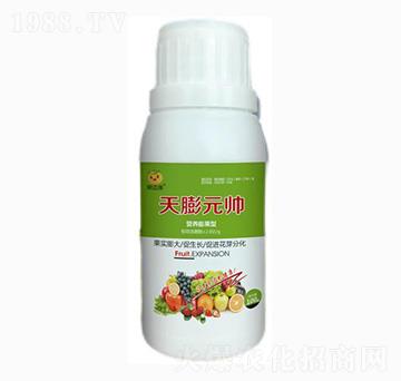 �I�B(y��ng)������~���-����Ԫ��-���_���ʘI(y��)