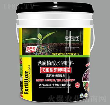 �ָ������}��-�~�ͷ�