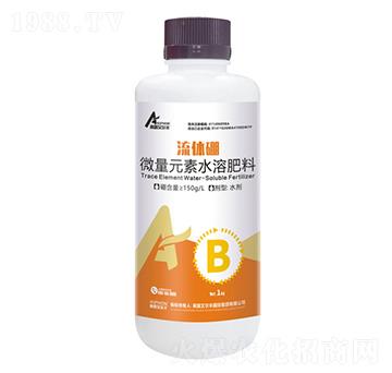 ���w��ƿ��-��¶�����S