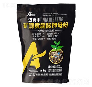 �VԴ�S�����ĸ��-�~���S-��¶�����S