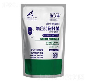 �ͺ�ѿ�ߗU��-�����S-�����_����