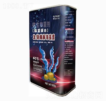 ����ø�⺣����-���{(l��n)����-����Ӌ1̖-��˹�r(n��ng)