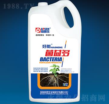 �����-����-��(��i)����