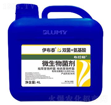 ΢�������-����̩