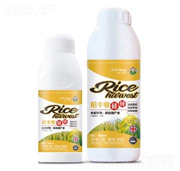 ���S�չ��\-�۶�����