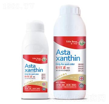 �r�t��-�۶�����