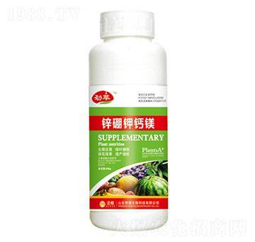 �\����}�V��500g��-����-�sҫ�r(n��ng)�I(y��)