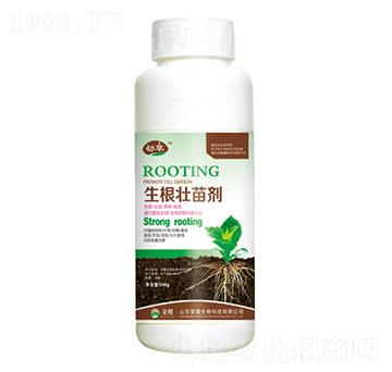 �������焩��500g��-����-�sҫ�r(n��ng)�I(y��)