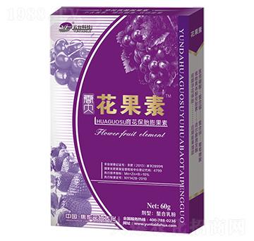 ������̥�����-������-���_��