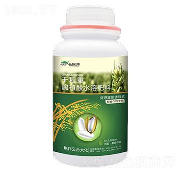 ǧ����-��ֲ��ˮ�ܷ���-���_��