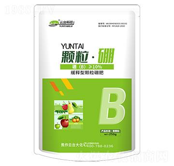 �w������-���_��