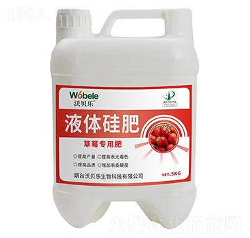 ��ݮ����Һ�w���-��ؐ��