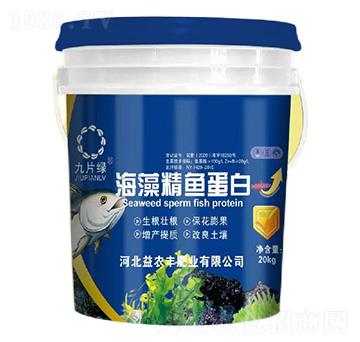 海藻精魚(yú)蛋白-九片綠-益農(nóng)豐肥業(yè)