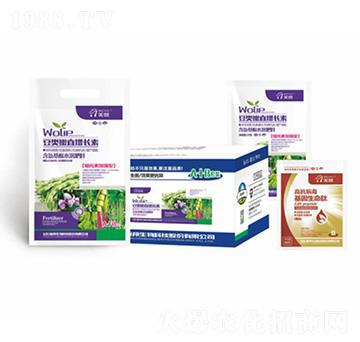 ������~���L(zh��ng)��-嫰�����