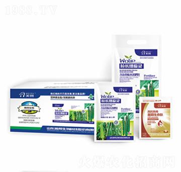 ���L(zh��ng)�����`-嫰�����