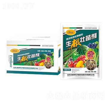 �������焩-嫰�����