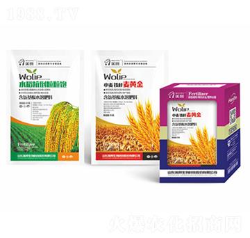 С���F�����S��-嫰�����