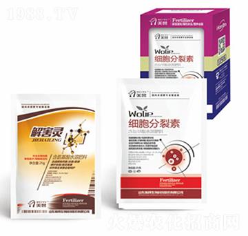 ��(x��)��������-嫰�����