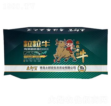 ��������������ĵ���-���ɹ�