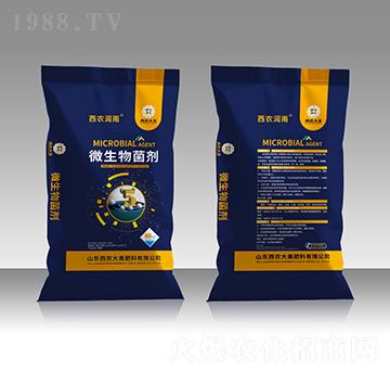 5�|΢�������-���r����-���r����