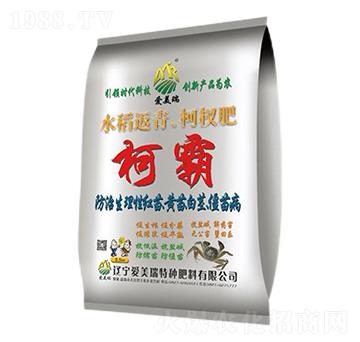 水稻返青柯杈肥-柯霸-愛(ài)美瑞