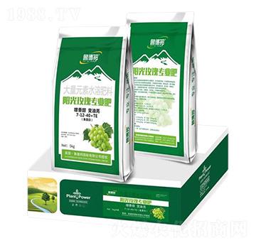 ꖹ�õ�匣�ô���Ԫ��ˮ�ܷʷ���7-12-40+TE-���°�