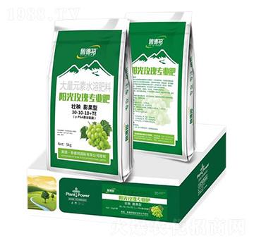 陽(yáng)光玫瑰專用壯秧膨果型大量元素水溶肥料30-10-10+TE-魯?shù)掳? />
                                </div>
                            </div>
                            
                            <style type=