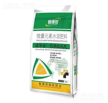 �ٹ����L��΢��Ԫ��ˮ�ܷ���-���Aʢ-���°�