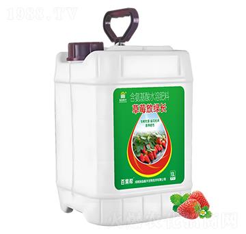 含氨基酸水溶肥料-草莓放綠長-瑞森嘉禾