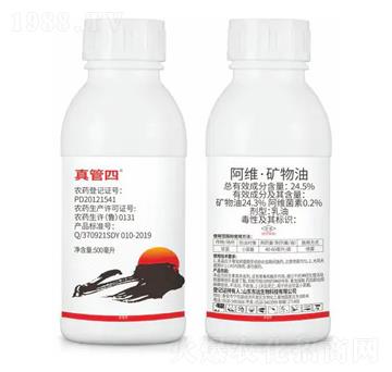 24.5%���S���V����