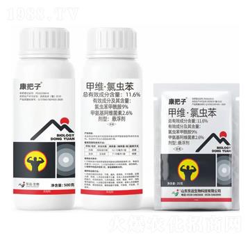 11.6%�׾S�����x��