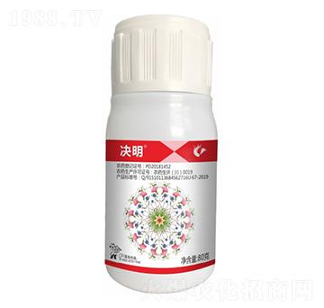 24%���x��������-�Q��-����¡����