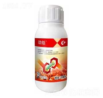 1%�׾S���x����-�ſ�-����¡����