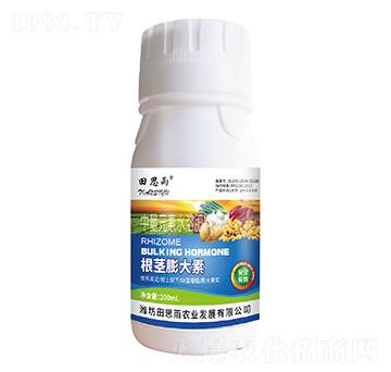 ���o�����-��˼���r�I(y��)