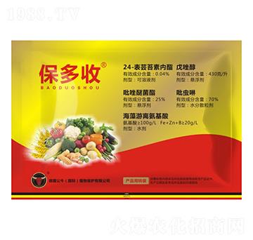 保多收-公牛國際