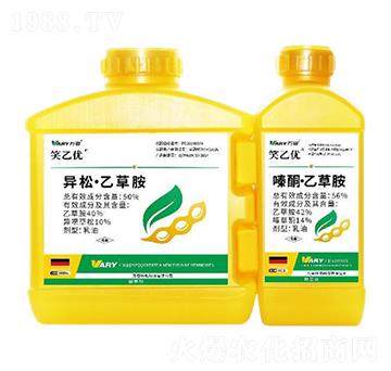 50%���ɡ��Ҳݰ�+56%�ͪ���Ҳݰ�-Ц�҃�(y��u)-�f(w��n)��