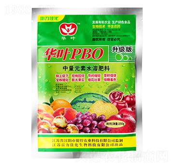 �������A�~PBO-�����ѻ�