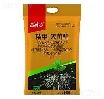 0.8%���ס��׾���-���M��-�л�����