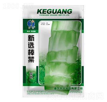 ���x����-�ƹ�N��