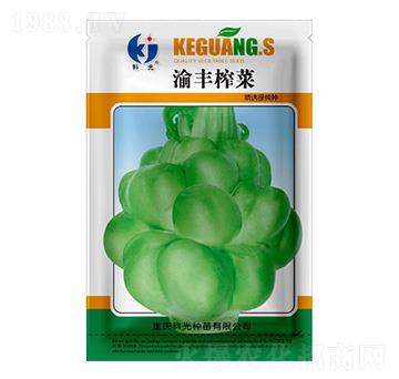 ���Sե��-�ƹ�N��