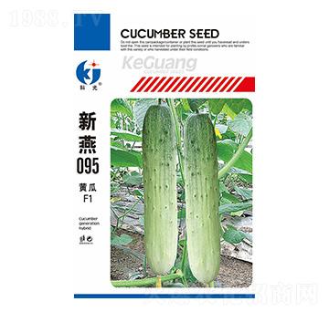 ����095-�ƹ�N��