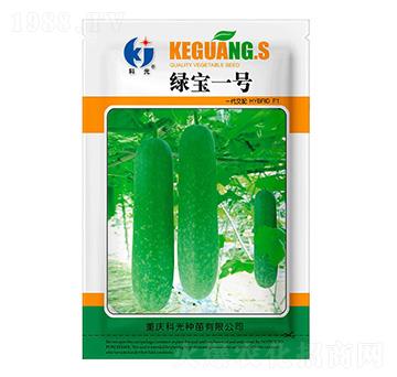 �G��1̖����-�ƹ�N��