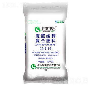 ������͏�(f��)�Ϸ���19-7-19-ס�̷���