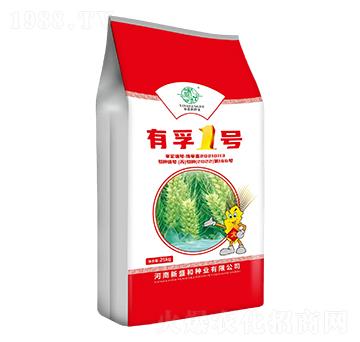 ����1̖-С���N��-�t̫�