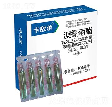 25��/���������-������-�t̫�